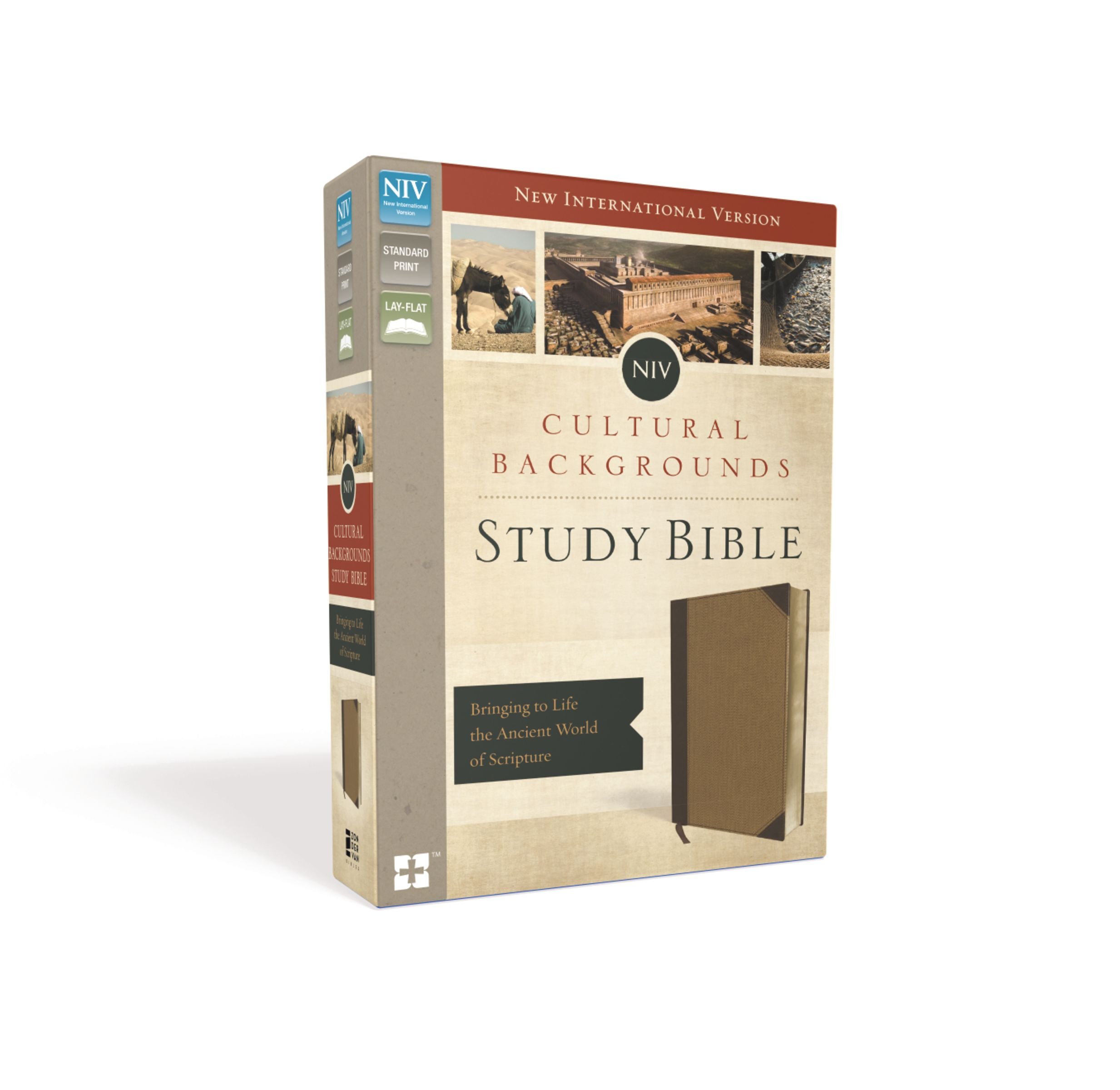 Which Study Bible is Best for You?