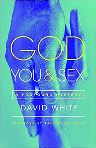 Book Sale at WTS Books: Up to 44% off of GOD, YOU, & SEX: A PROFOUND MYSTERY, by David White