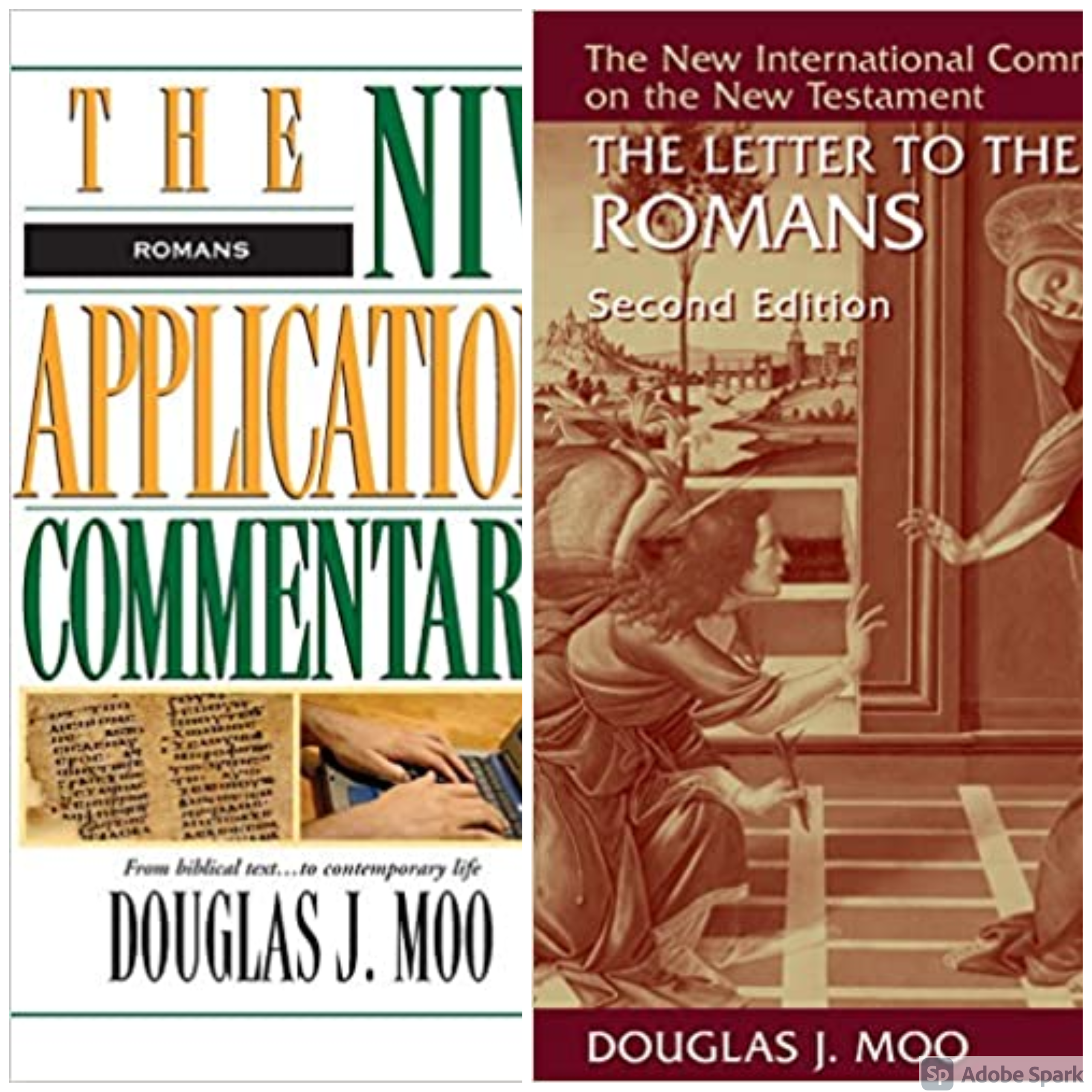Book Notice: THE LETTER TO THE ROMANS (2ND EDITION), by Douglas J. Moo